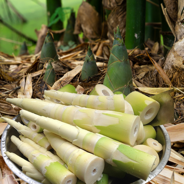 Trong măng tre chứa lysine, một chất có thể phản ứng với đường nâu, tạo ra chất không tốt cho sức khỏe.