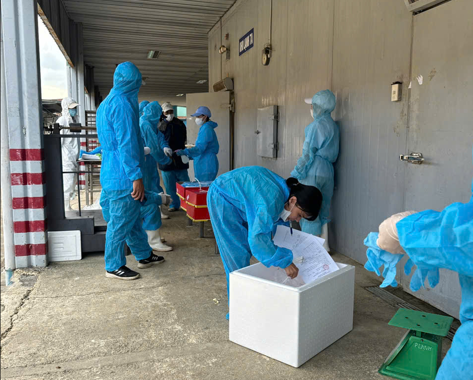 đồ hộp hạ long - Ảnh 1.