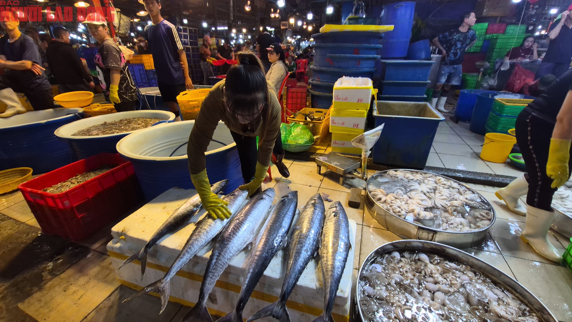 Nửa đêm ở chợ đầu mối TP HCM trước Tết Bính Ngọ 2026 - Ảnh 1.