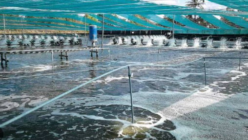 Không phải đất hiếm, Mỹ, Trung Quốc đang đua nhau săn một kho báu của Việt Nam: Nước ta là ông lớn đứng thứ 3 thế giới, xuất khẩu lập đỉnh 4,5 tỷ USD- Ảnh 1.