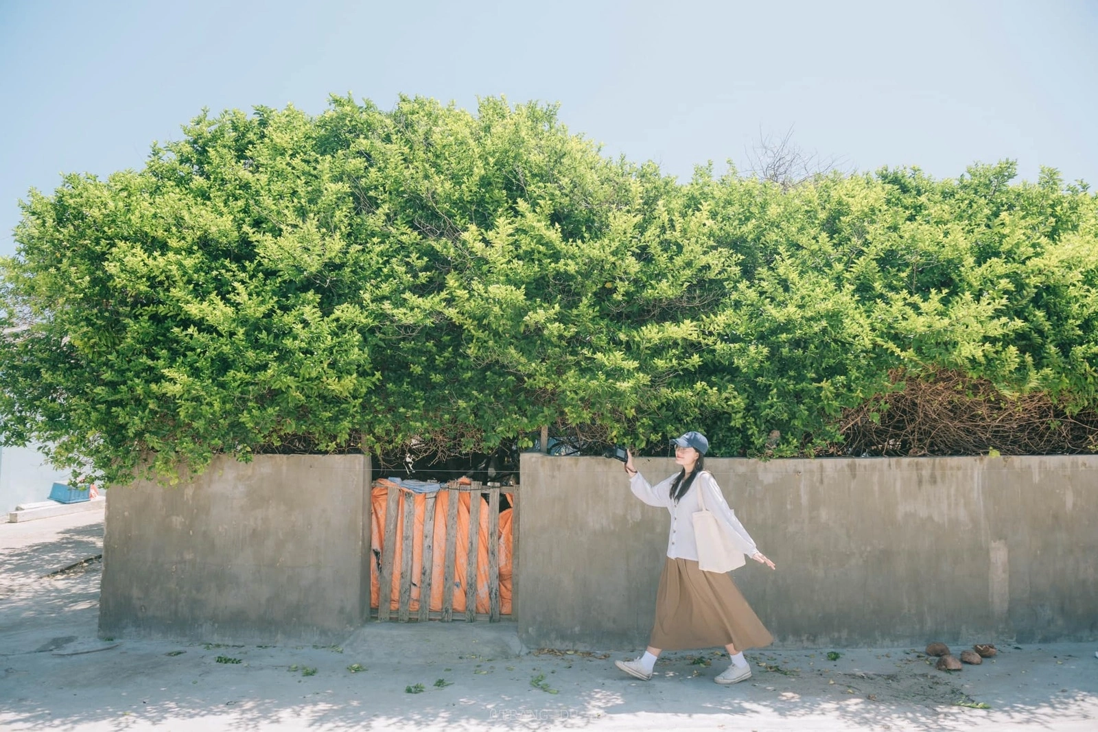 Không phải Phú Quốc, đây mới là điểm du lịch biển lọt Top 10 nơi đáng đến nhất Đông Nam Á 2026 do nước ngoài bình chọn: Nước xanh như ngọc, hải sản vừa rẻ vừa tươi rói- Ảnh 2.