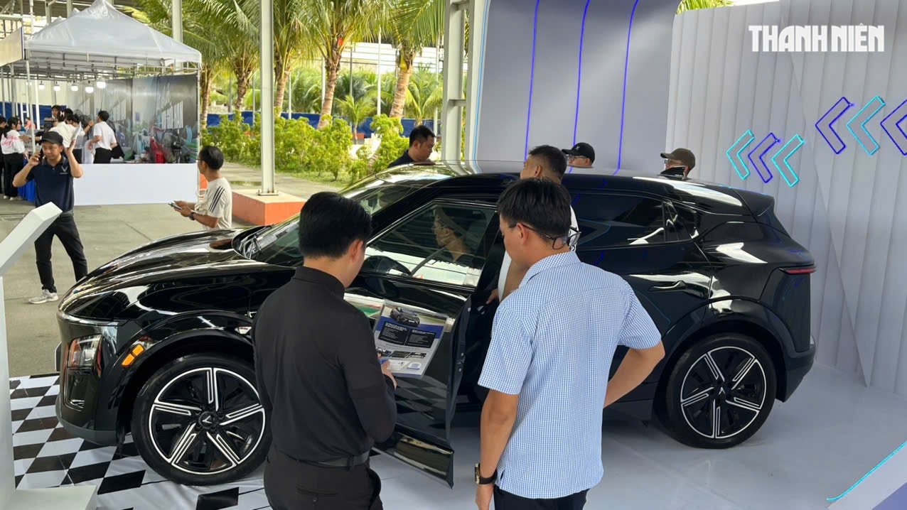 Năm 2025 , ô tô điện VinFast dẫn đầu thị trường ô tô Việt Nam - Ảnh 2.