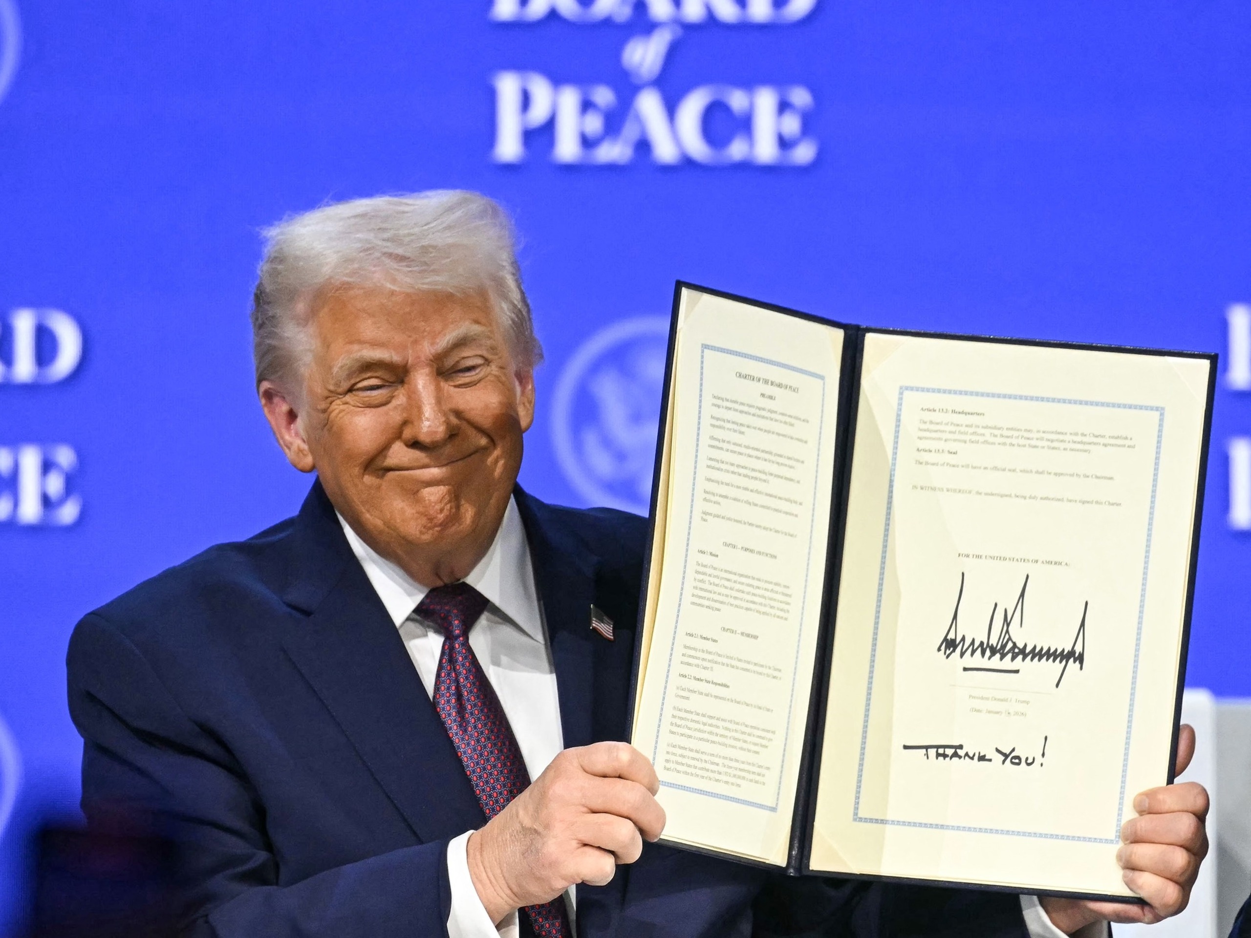 Hội đồng Hòa bình - Ảnh 1.