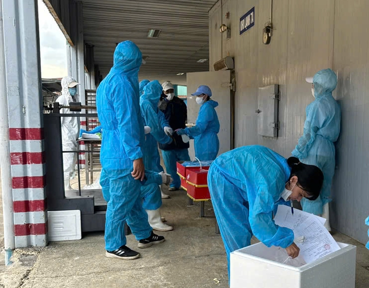 đồ hộp hạ long - Ảnh 3.