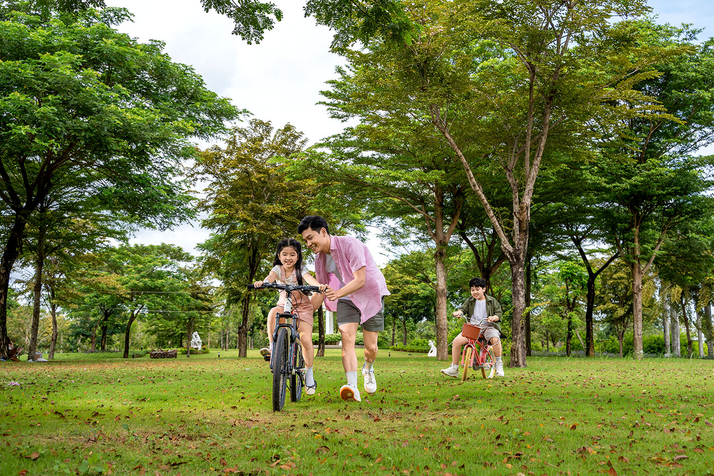 - Ảnh 1. - Ảnh 1.