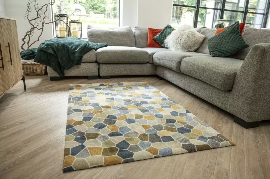 Phát cảnh báo cho tất cả các gia đình có thảm trong phòng khách- Ảnh 1.