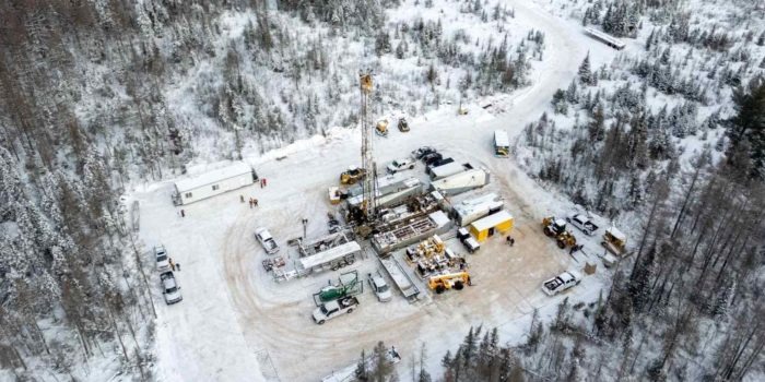 Phát hiện dưới cánh rừng 