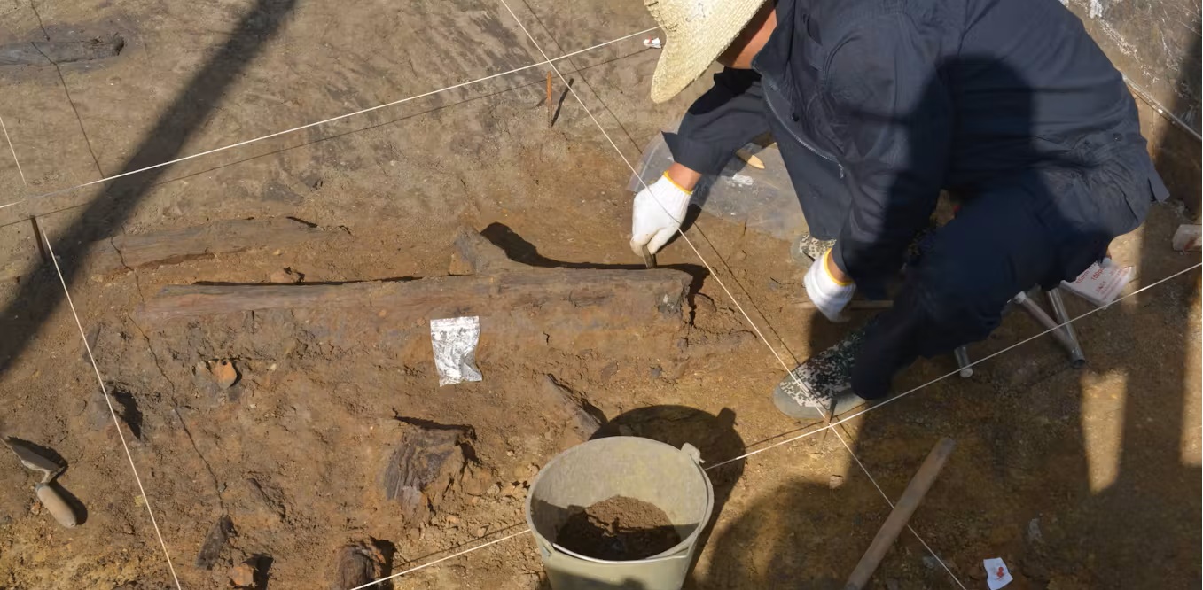 Phát hiện "kho báu gỗ" 300.000 năm 1 Người khác loài ở Trung Quốc: Phát hiện