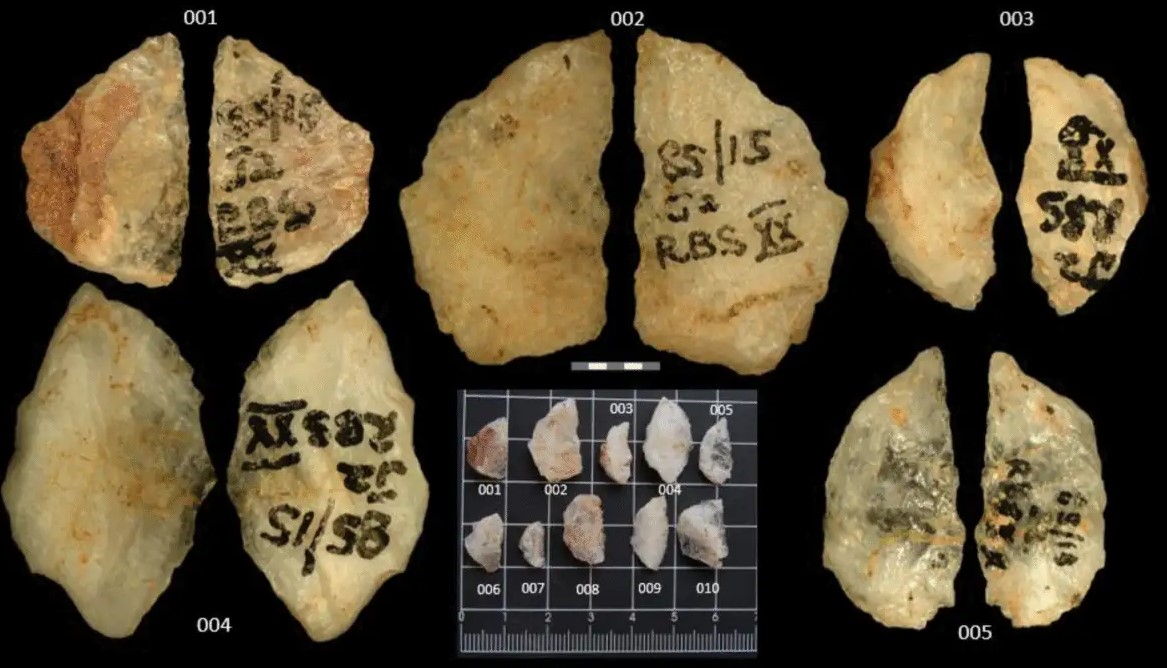 Phát hiện mũi tên tẩm độc 60.000 năm tuổi  - Ảnh 1.