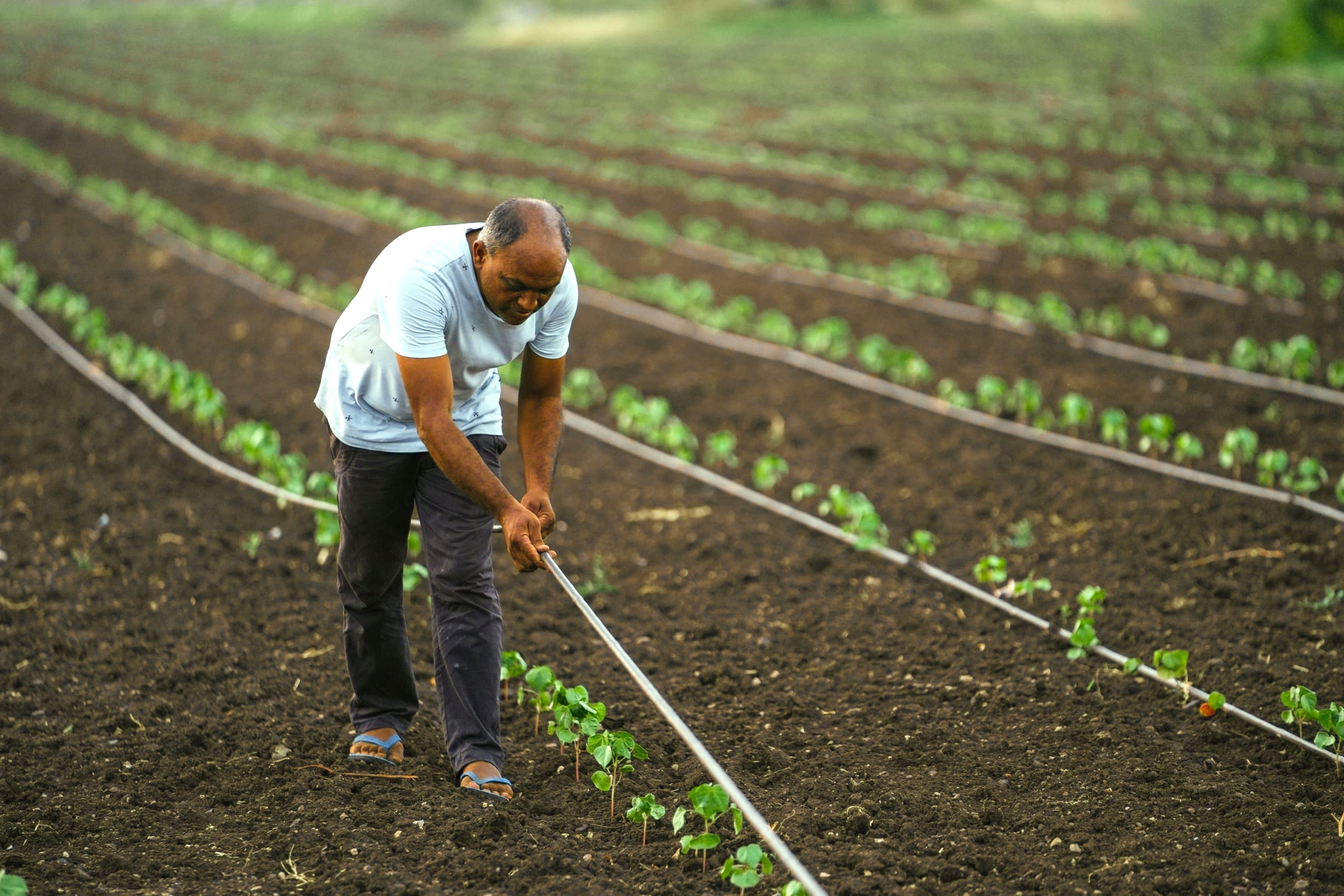 Phat minh the ky cua Israel rung chuyen the gioi