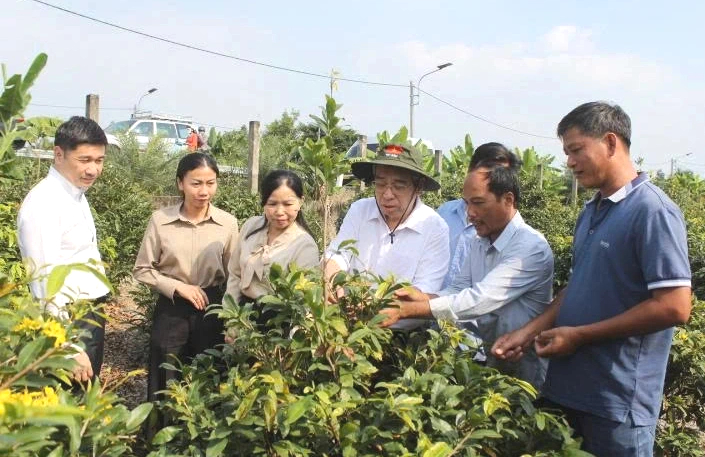 - Ảnh 1. - Ảnh 1.