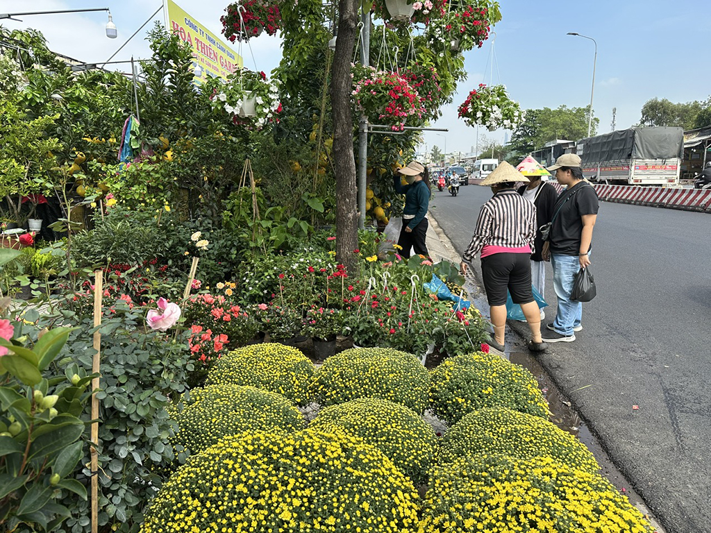 Phố phường TP.HCM rực rỡ sắc xuân- Ảnh 2.