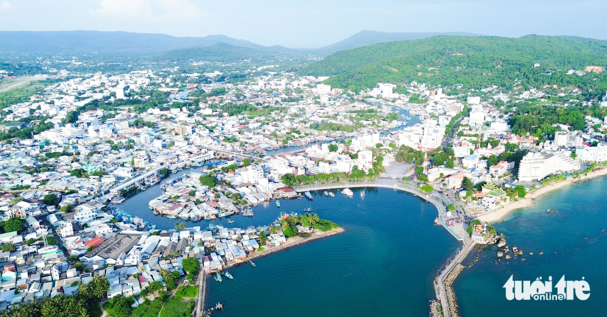 Vi rút Nipah - Ảnh 1.