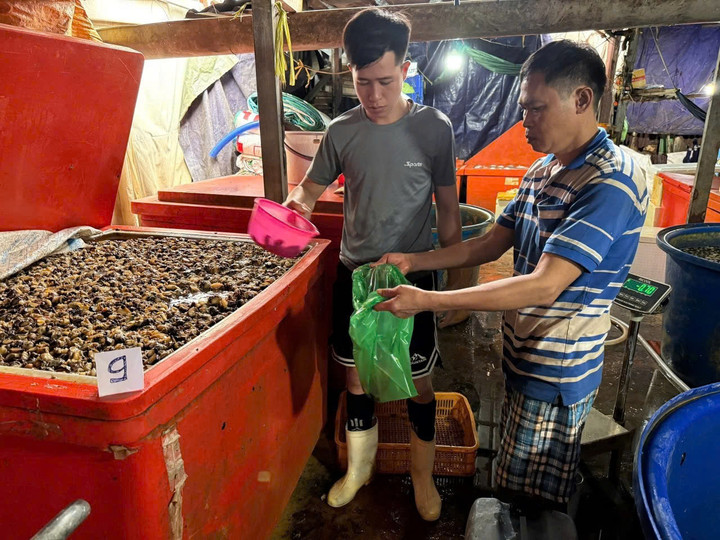 Rùng mình lời khai của chủ vựa ngâm 3.000 tấn thịt ốc bằng hóa chất công nghiệp- Ảnh 1.