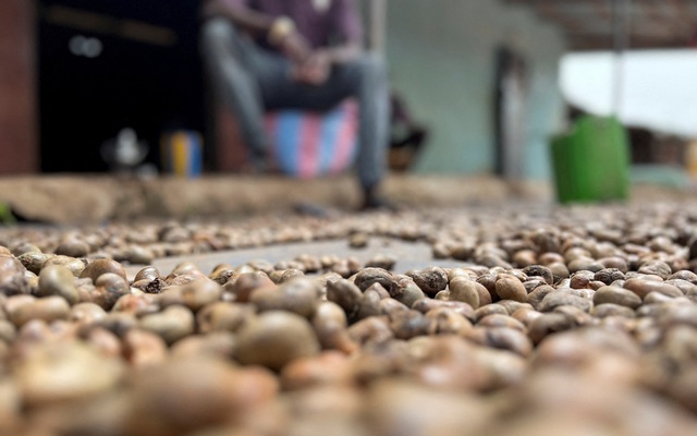 'Sản vật trời ban' của Việt Nam lập kỷ lục chưa từng có, lần đầu gia nhập 'câu lạc bộ 5 tỷ USD'- Ảnh 1.