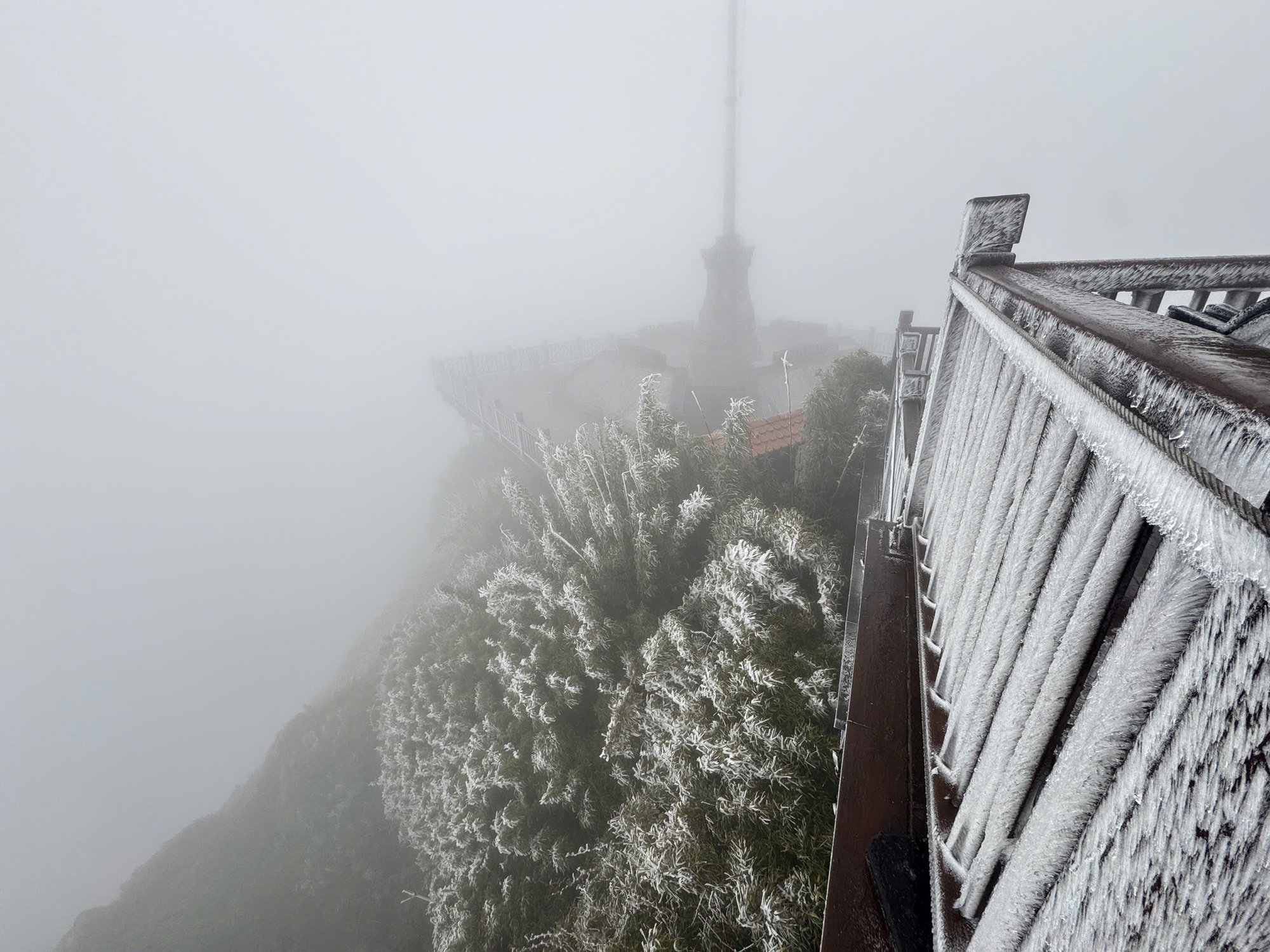 Sáng nay, 1 nơi ở Việt Nam chỉ còn -3 độ C, cảnh tượng gây choáng bao trùm- Ảnh 1.