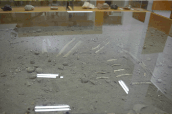 Hài cốt 7.500 tuổi hé lộ dấu tích người tiền sử ở hang động Việt Nam