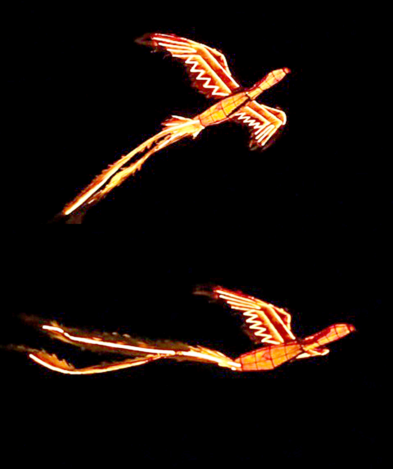 Sinh viên làm rồng phượng bay trong đêm giao thừa ở Đồng Nai 1 sinh viên - Ảnh 1.