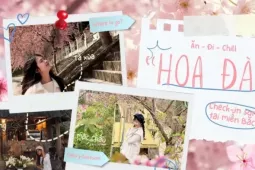 Săn hoa đào sớm ở miền Bắc: Tà Xùa "thêm gói" ngắm mây, đi Hà Giang tiện chụp áo dài