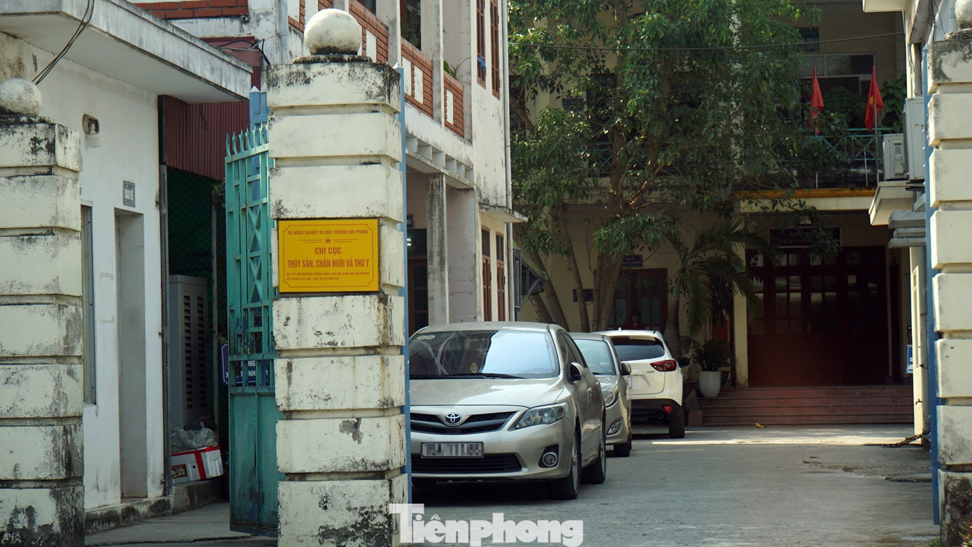 Vụ tuồn lợn dịch vào Cty Đồ hộp Hạ Long: Tạm giữ cán bộ kiểm dịch để xác minh hành vi nhận hối lộ- Ảnh 1.