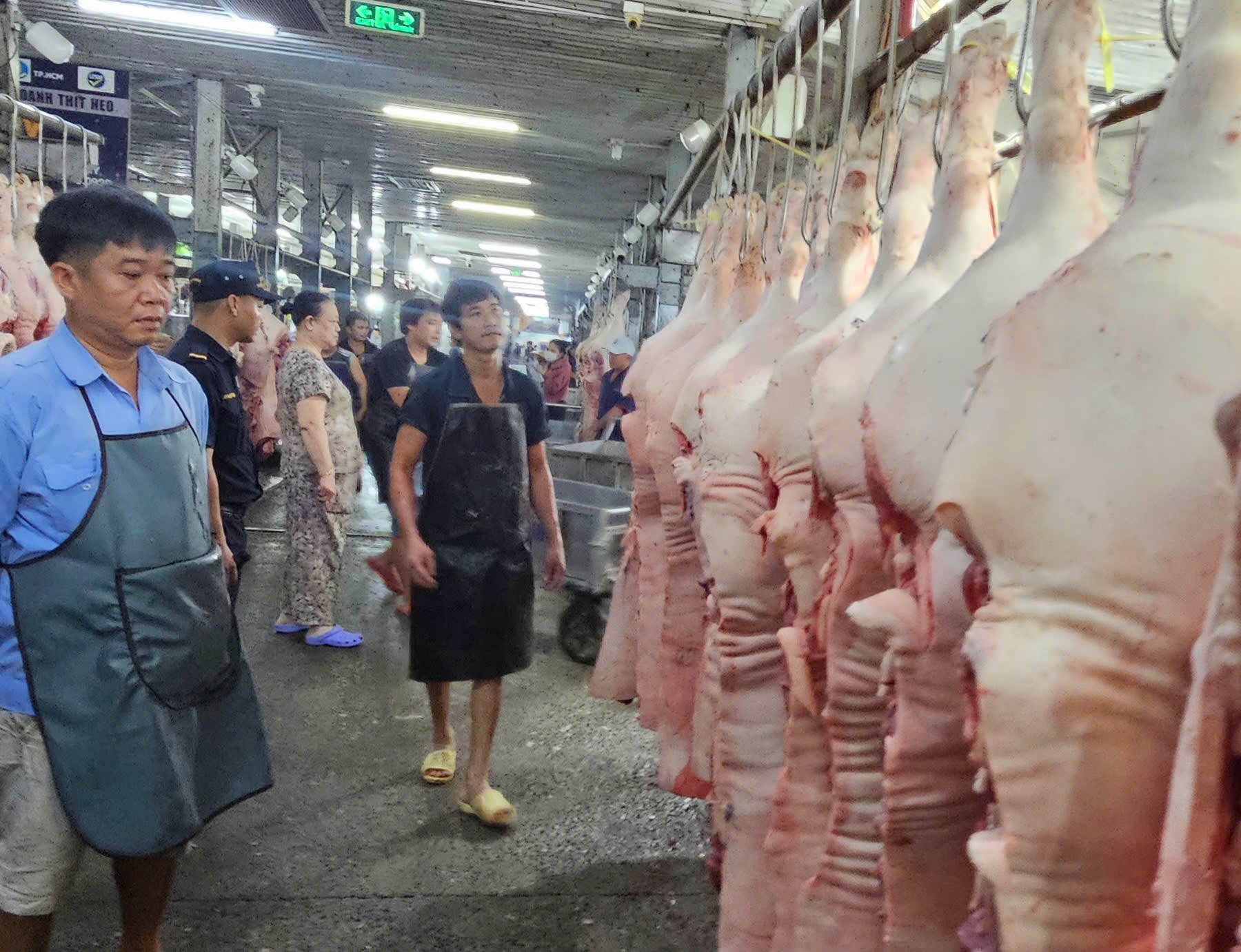 Tăng liên tục, giá heo hơi ở đỉnh 77.000 đồng/kg, giá dịp Tết sẽ thế nào? - Ảnh 1.