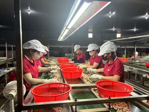 Tăng sức cạnh tranh cho doanh nghiệp Việt - Ảnh 1.