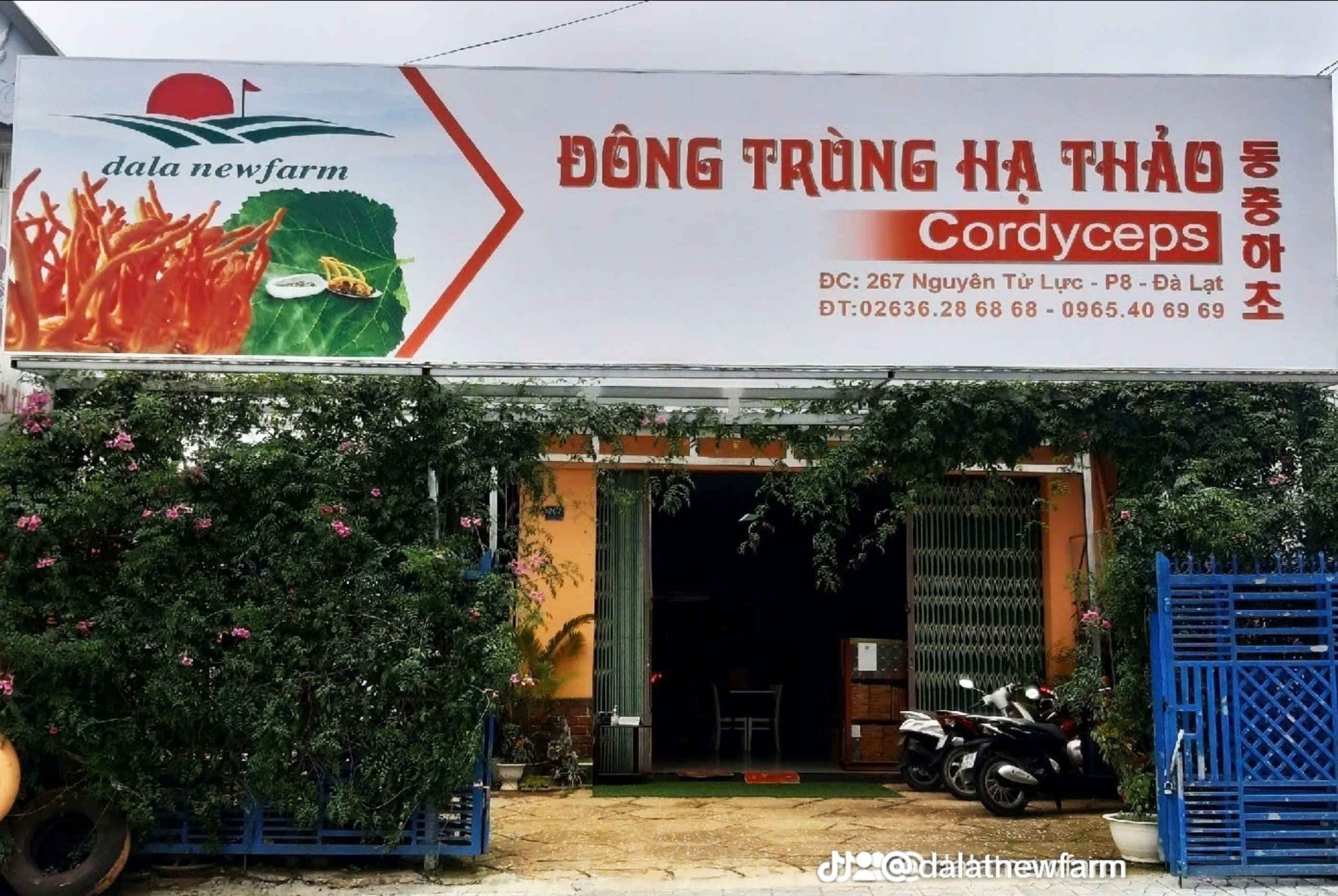 Đông trùng hạ thảo DalaNewfarm: Tất cả vì sức khỏe cộng đồng - Ảnh 1.