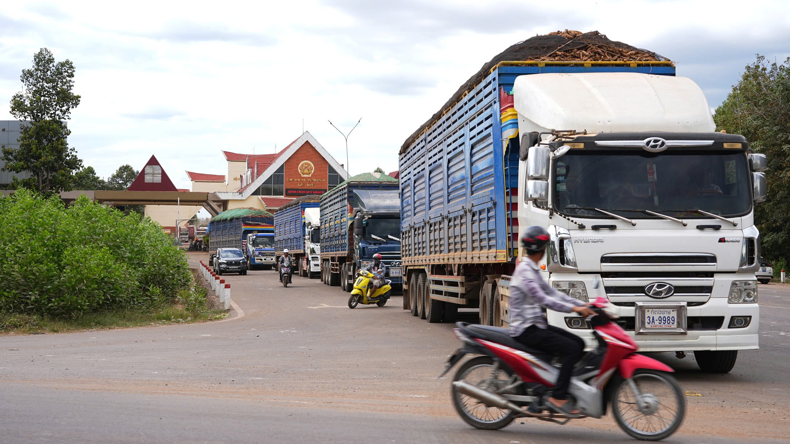 nông sản - Ảnh 1.