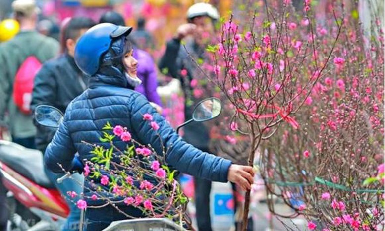 Tết Nguyên đán 2026 lạnh hơn, đề phòng mưa kèm rét đậm, rét hại- Ảnh 1.