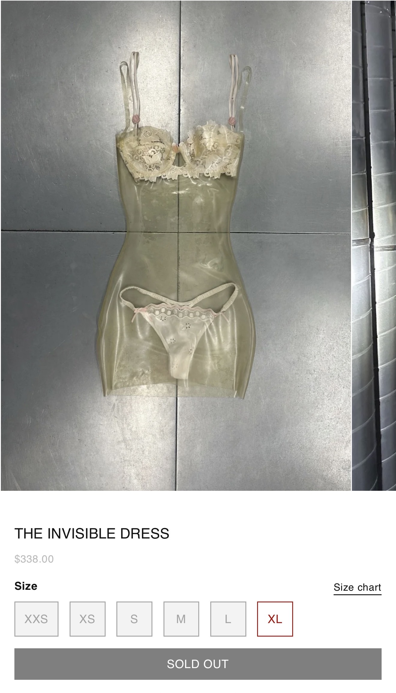 Thế giới ơi! Váy cưới trong veo hoá ra là mơ ước của nhiều người?- Ảnh 8.