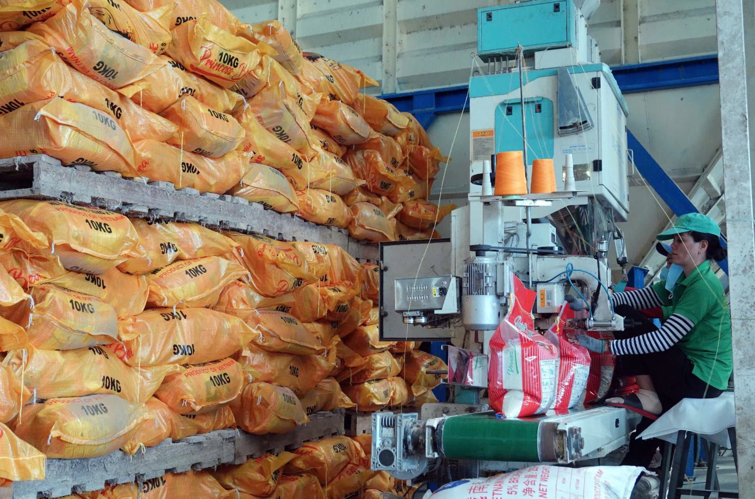 Thị trường gạo Việt Nam thế nào sau khi Philippines mở cửa?  - Ảnh 1.