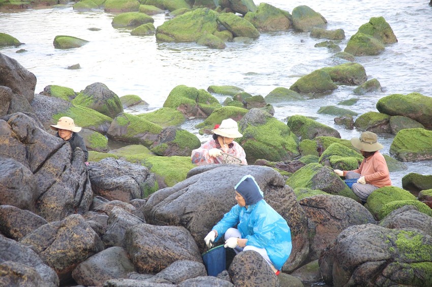 Đặc sản đen sì bám chặt vách đá: Thứ 