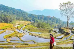 Vẻ đẹp ruộng bậc thang Pù Luông mùa nước đổ