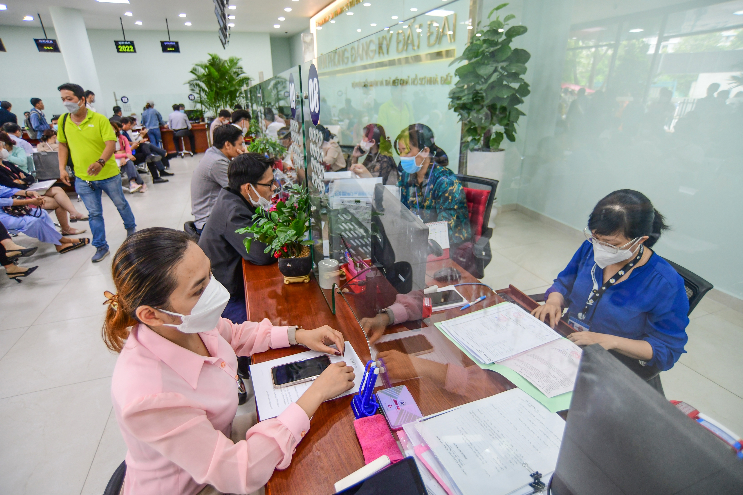 đất đai - Ảnh 1.