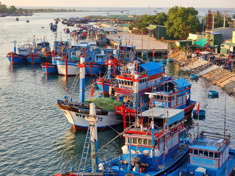 Thủ tướng chỉ đạo lập đoàn kiểm tra chống IUU, Bộ Công an điều tra dứt điểm vụ lô hàng cá cờ kiếm 1 Thủ tướng chỉ đạo lập đoàn kiểm tra chống IUU, Bộ Công an điều tra dứt điểm vụ lô hàng cá cờ kiếm - Ảnh 1.