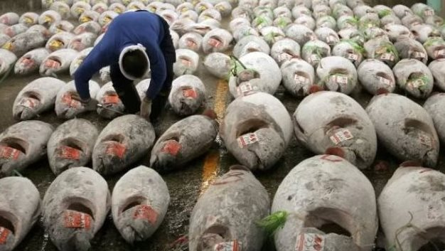 Không phải sầu riêng, một ‘siêu thực phẩm’ của Việt Nam được Mỹ và châu Âu cực ưa chuộng: Thu về 924 triệu USD, nước ta xuất khẩu đứng top thế giới- Ảnh 1.