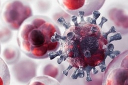 Nguyên nhân tế bào ung thư xuất hiện trong cơ thể, người Việt cần hiểu đúng để ngừa bệnh