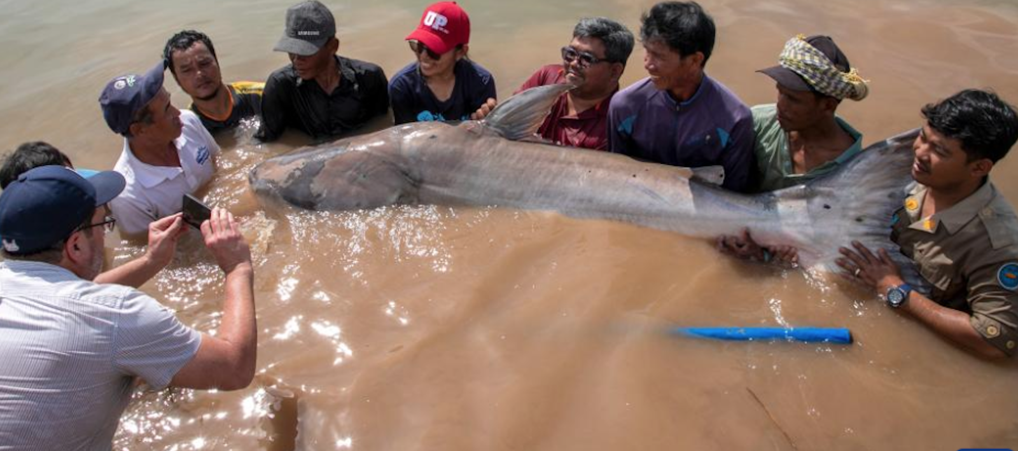 Thuy quai tuong chi co trong huyen thoai xuat hien
