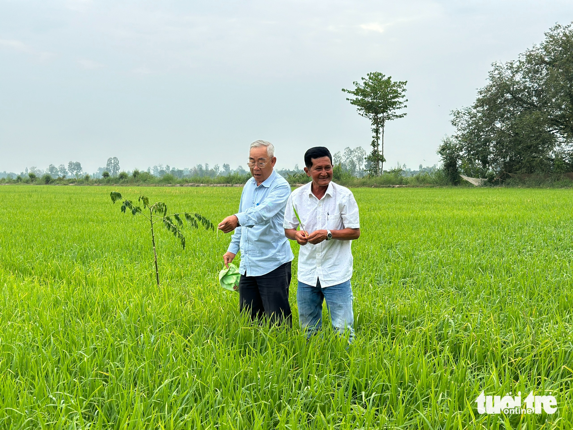 'Tỉ phú hai lúa' miền Tây gửi gắm kỳ vọng vào Đại hội Đảng XIV - Ảnh 1.