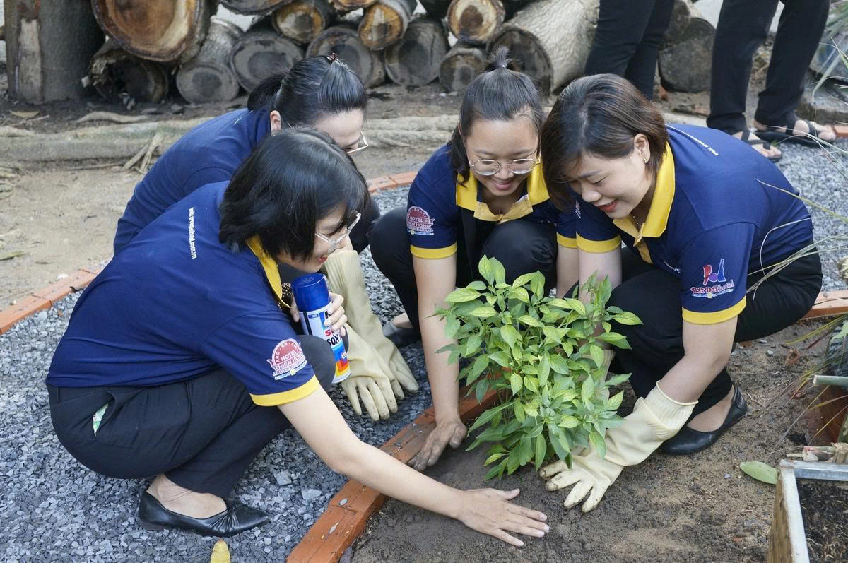 bảo vệ môi trường - Ảnh 1.