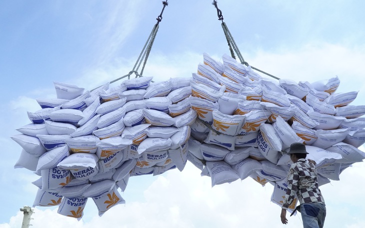 Tiến tới Đại hội Đảng XIV: Nông nghiệp Việt Nam từ 'trụ đỡ' chiến lược đến kỷ nguyên mới - Ảnh 3.