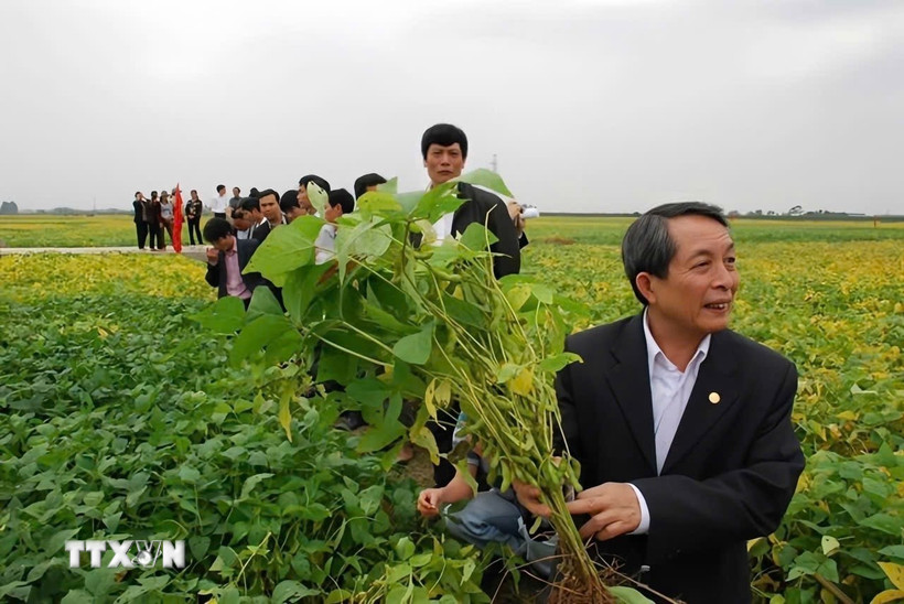 nông nghiệp  - Ảnh 1.