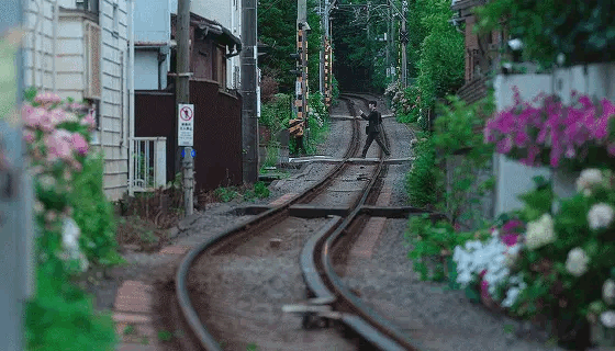Lâu rồi mới có 1 phim ngôn tình đẹp nao lòng đến vậy: Cảnh nào cũng như tranh vẽ, lưu ảnh mỏi cả tay- Ảnh 2.