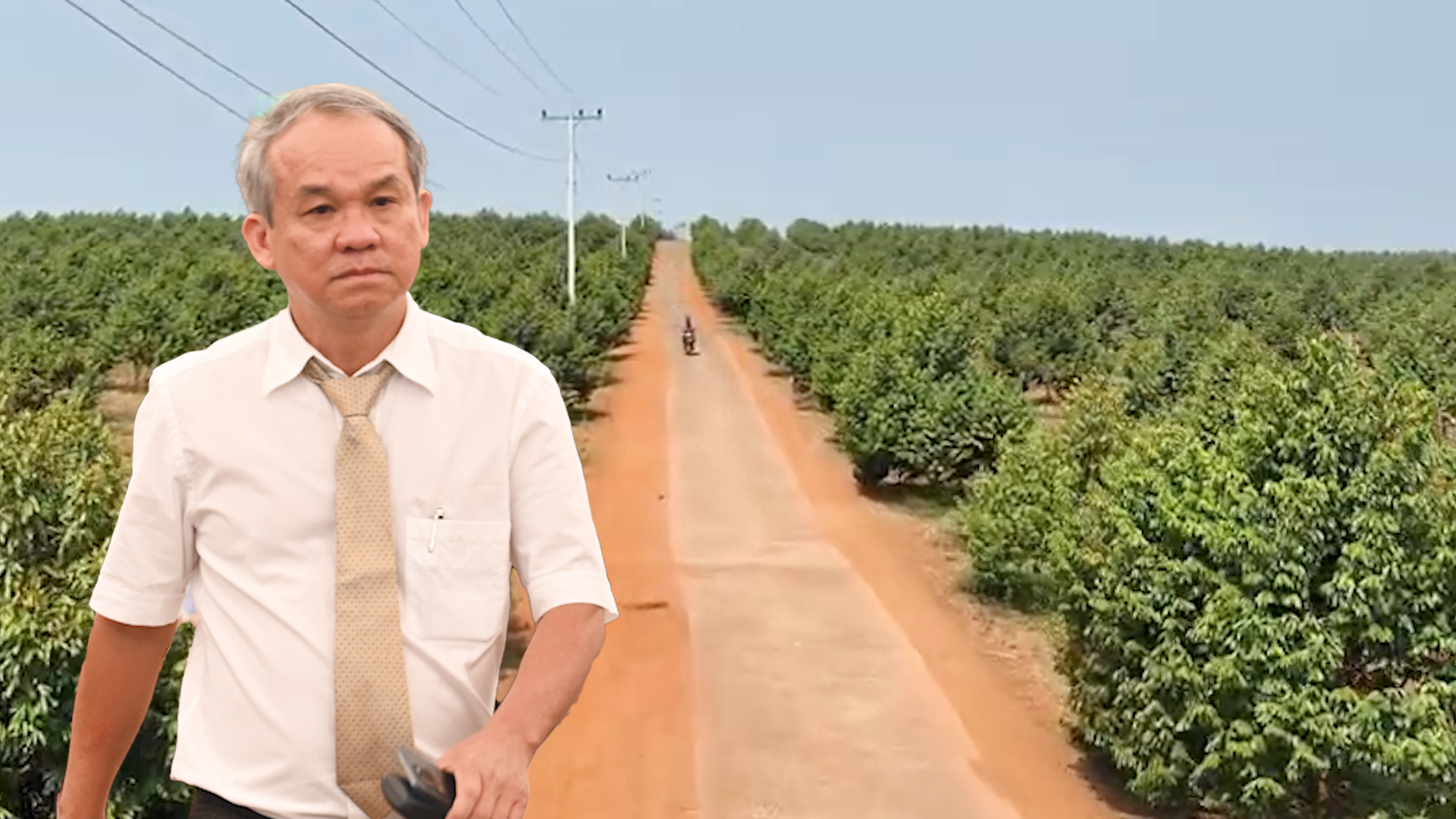 tin tức - Ảnh 4.