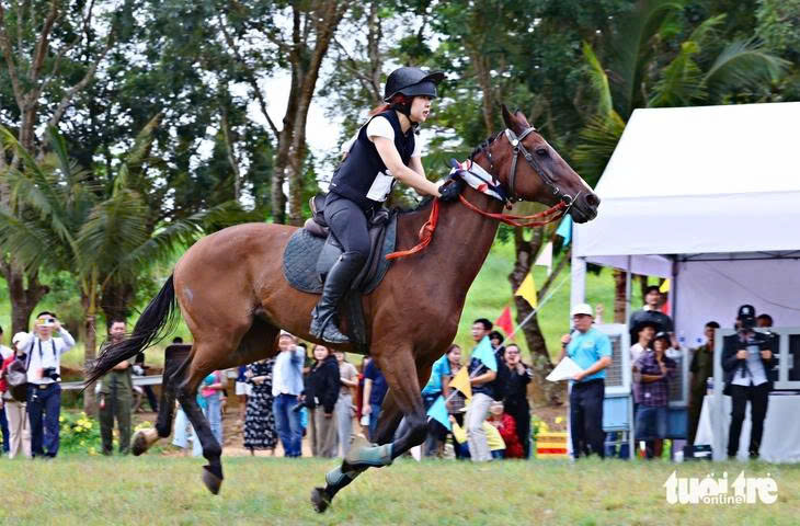 đặt cược - Ảnh 1.