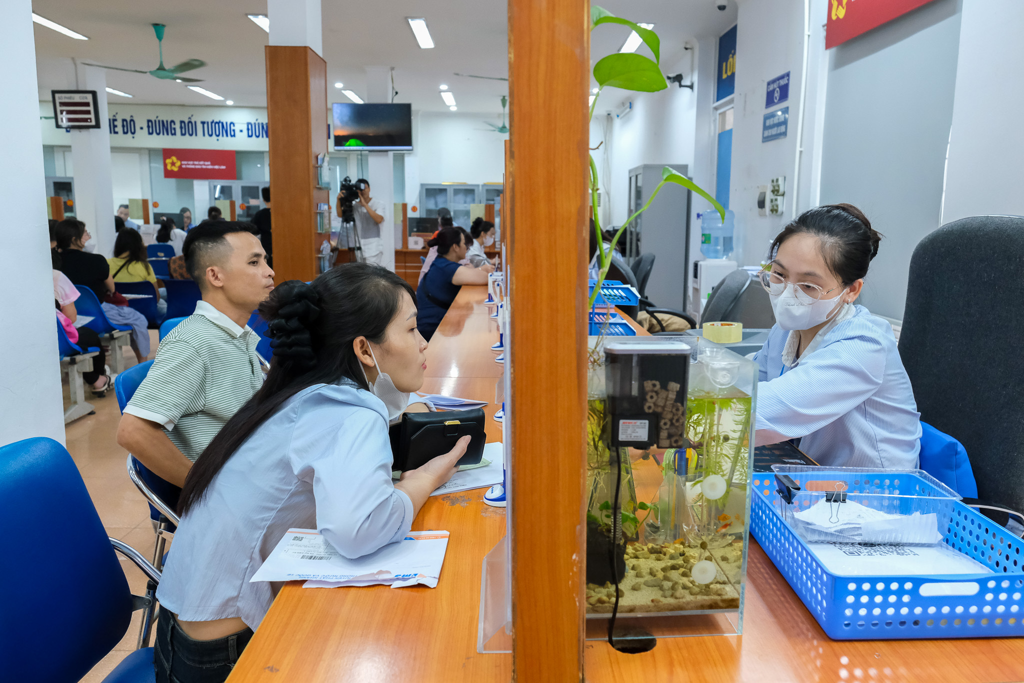 bảo hiểm thất nghiệp - Ảnh 1.