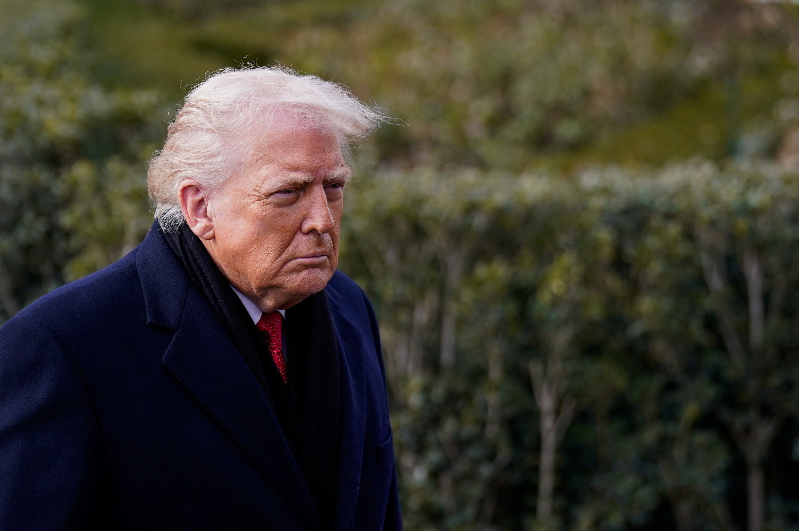 Greenland - Ảnh 1.