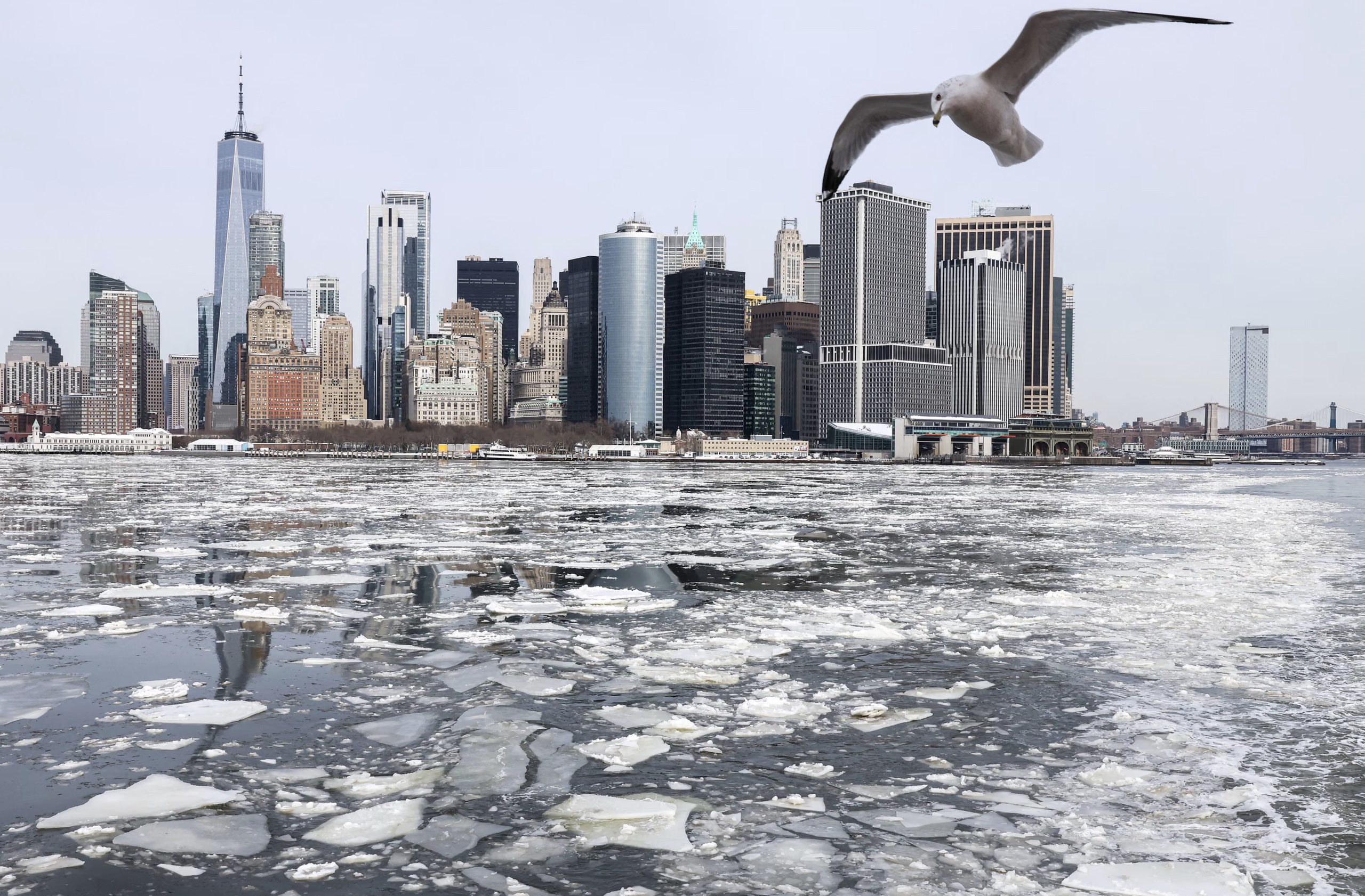 Tin tức thế giới 30-1: Ông Trump nói ông Putin chịu ngừng bắn 1 tuần, Mỹ mở lại không phận Venezuela - Ảnh 5.