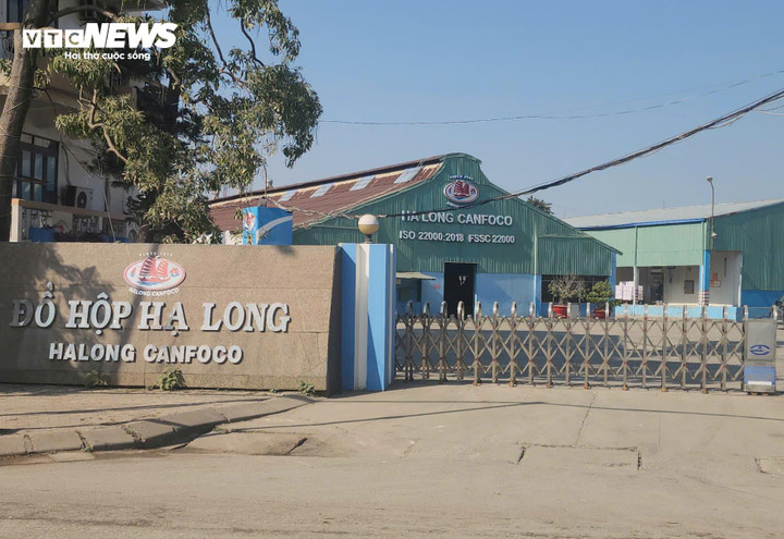 130 tấn thịt lợn bệnh được 'phù phép' làm thịt hộp: Tỉnh Quảng Ninh lên tiếng- Ảnh 1.