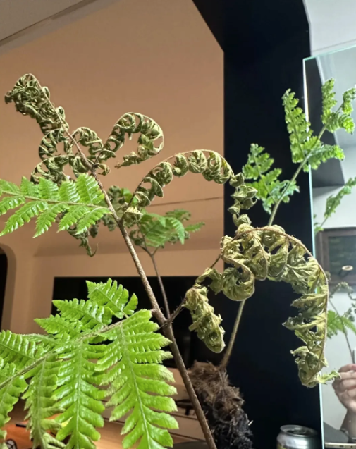 Buông bỏ là thượng sách: Tôi da diết khuyên bạn thẳng tay vứt 8 món 